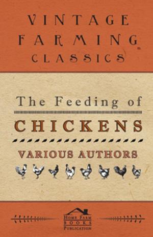Cover of the book The Feeding of Chickens by Anon