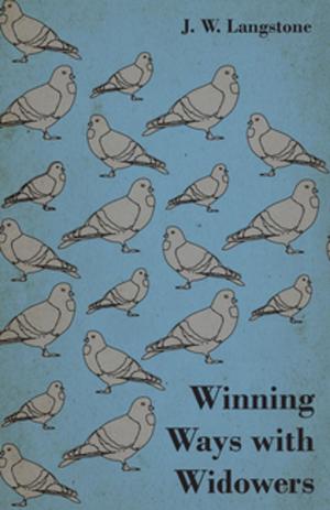 Book cover of Winning Ways With Widowers
