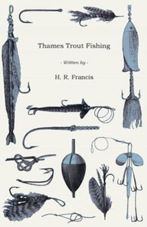 Cover of the book Thames Trout Fishing by Margaret Cameron