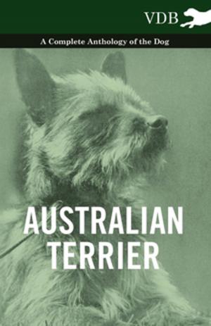 Cover of the book Australian Terrier - A Complete Anthology of the Dog by Rupert Brooke
