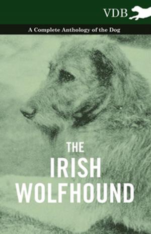 bigCover of the book The Irish Wolfhound - A Complete Anthology of the Dog by 