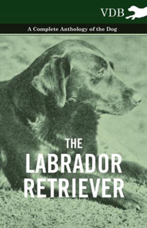 Cover of the book The Labrador Retriever - A Complete Anthology of the Dog by Anon.