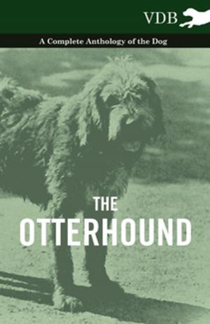 bigCover of the book The Otterhound - A Complete Anthology of the Dog by 