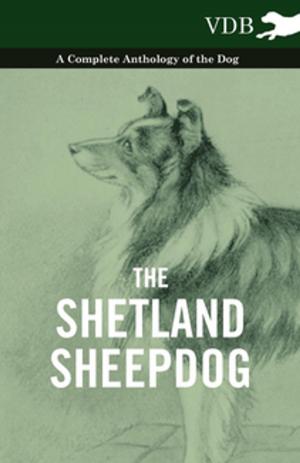 Cover of the book The Shetland Sheepdog - A Complete Anthology of the Dog by Karel Capek