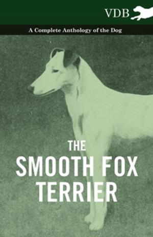 Cover of the book The Smooth Fox Terrier - A Complete Anthology of the Dog by C. H. Philips