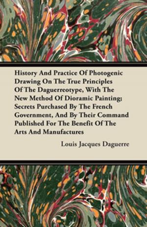 Cover of the book History And Practice Of Photogenic Drawing On The True Principles Of The Daguerreotype, With The New Method Of Dioramic Painting by Anon.