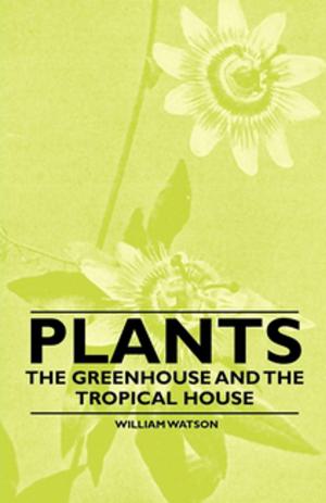 Book cover of Plants - The Greenhouse and the Tropical House
