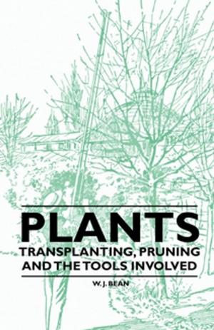 Cover of the book Plants - Transplanting, Pruning and the Tools Involved by Various