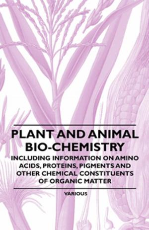 Cover of the book Plant and Animal Bio-Chemistry - Including Information on Amino Acids, Proteins, Pigments and Other Chemical Constituents of Organic Matter by Various Authors