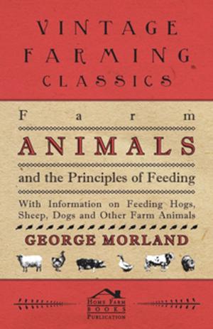 Cover of the book Farm Animals and the Principles of Feeding - With Information on Feeding Hogs, Sheep, Dogs and Other Farm Animals by Walter Bradford Woodgate