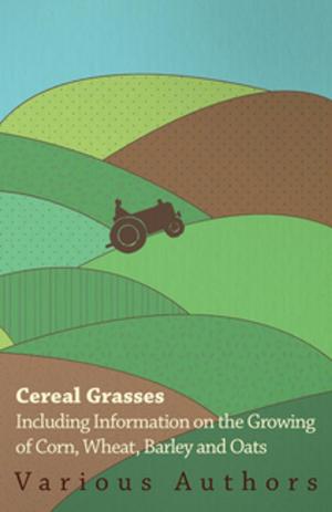 Cover of the book Cereal Grasses - Including Information on the Growing of Corn, Wheat, Barley and Oats by Govind Kumar Bagri, Dheeraj K. Bagri, Rajesh Kumari, D L Bagdi