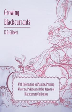 Cover of the book Growing Blackcurrants - With Information on Planting, Pruning, Watering, Picking and Other Aspects of Blackcurrant Cultivation by Bronislaw Malinowski