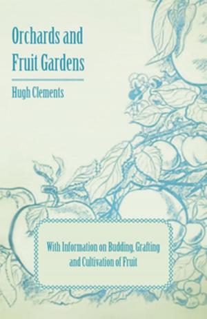 bigCover of the book Orchards and Fruit Gardens - With Information on Budding, Grafting and Cultivation of Fruit by 