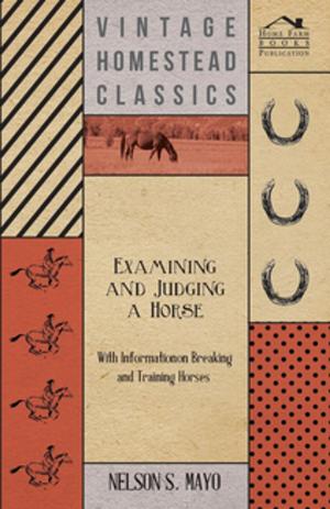 Cover of the book Examining and Judging a Horse - With Information on Breaking and Training Horses by Gillian Rogerson