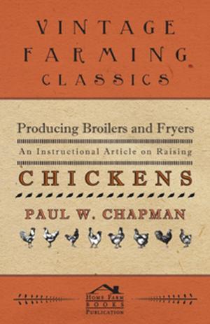 Cover of the book Producing Broilers and Fryers - An Instructional Article on Raising Chickens by Various