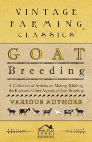 Cover of the book Goat Breeding - A Collection of Articles on Mating, Kidding, the Buck and Other Aspects of Goat Breeding by Anne Katherine Green