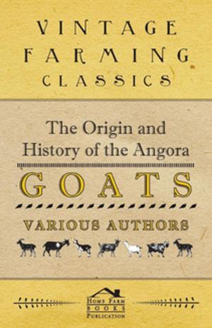 Cover of the book The Origin and History of the Angora Goats by Mary Elizabeth Braddon