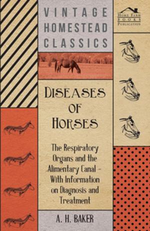 Book cover of Diseases of Horses - The Respiratory Organs and the Alimentary Canal - With Information on Diagnosis and Treatment