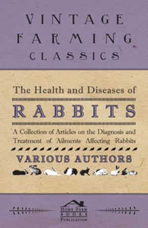 Cover of the book The Health and Diseases of Rabbits - A Collection of Articles on the Diagnosis and Treatment of Ailments Affecting Rabbits by Dodge Theodore Ayrault