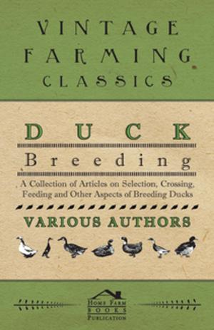 Cover of the book Duck Breeding - A Collection of Articles on Selection, Crossing, Feeding and Other Aspects of Breeding Ducks by Carl Stephenson