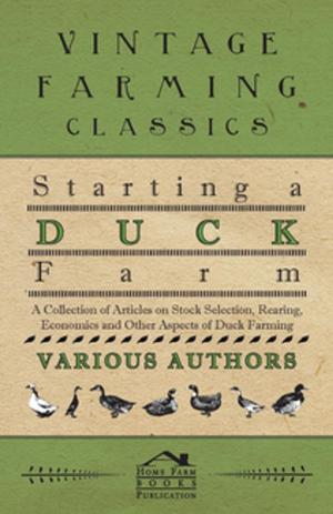 bigCover of the book Starting a Duck Farm - A Collection of Articles on Stock Selection, Rearing, Economics and Other Aspects of Duck Farming by 