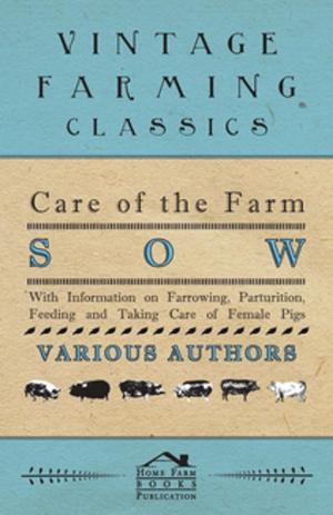 Cover of the book Care of the Farm Sow - With Information on Farrowing, Parturition, Feeding and Taking Care of Female Pigs by T. Johnson
