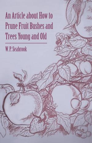 Cover of the book An Article about How to Prune Fruit Bushes and Trees Young and Old by Deline Bruser