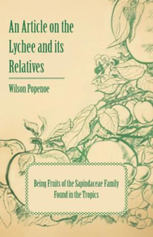 Cover of the book An Article on the Lychee and its Relatives - Being Fruits of the Sapindaceae Family Found in the Tropics by Charles Thom
