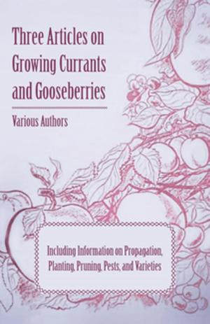 Cover of the book Three Articles on Growing Currants and Gooseberries - Including Information on Propagation, Planting, Pruning, Pests, Varieties by Joseph A. Altsheler