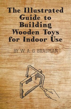 bigCover of the book The Illustrated Guide to Building Wooden Toys for Indoor Use by 
