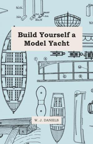 bigCover of the book Build Yourself a Model Yacht by 