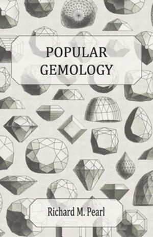 Cover of the book Popular Gemology by Anon