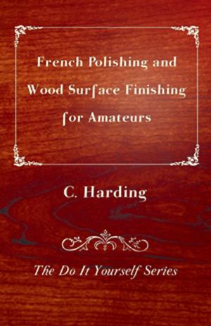 Cover of the book French Polishing and Wood Surface Finishing for Amateurs - The Do It Yourself Series by John R. Wise