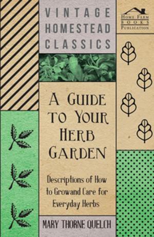 Cover of the book A Guide to Your Herb Garden - Descriptions of How to Grow and Care for Everyday Herbs by Edward Wenham