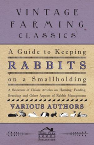 Cover of the book A Guide to Keeping Rabbits on a Smallholding - A Selection of Classic Articles on Housing, Feeding, Breeding and Other Aspects of Rabbit Management by Ivan Panin