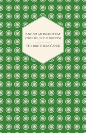 bigCover of the book 'And So ad Infinitum' (The Life of the Insects) - An Entomological Review, in Three Acts a Prologue and an Epilogue by 