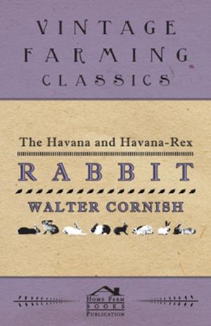 Cover of the book The Havana and Havana-Rex Rabbit by Scott Joplin
