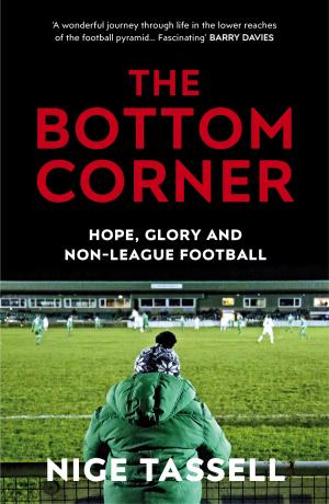 Cover of the book The Bottom Corner by MIKE - aka Mike Raffone