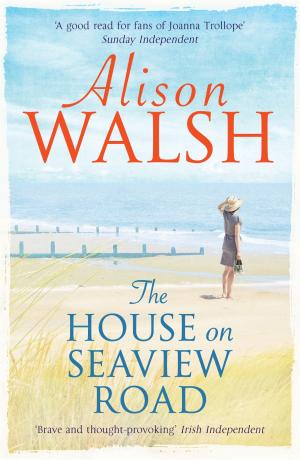 Cover of the book The House on Seaview Road by Fiona O'Brien