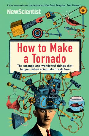 Cover of the book How to Make a Tornado by Kristyna Arcarti