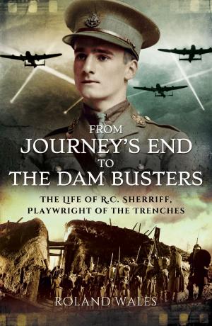 Cover of the book From Journey's End to The Dam Busters by David Bilton