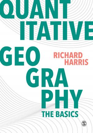 Cover of the book Quantitative Geography by William A. Streshly, Susan P. Gray