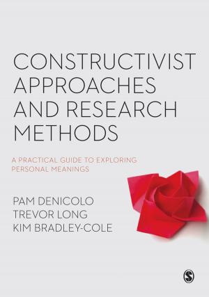 bigCover of the book Constructivist Approaches and Research Methods by 