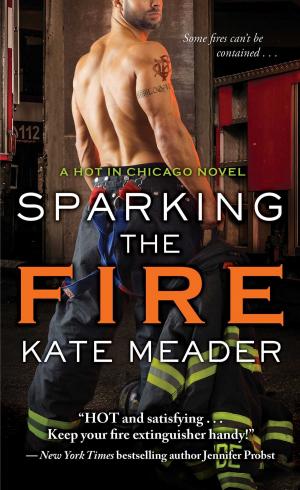 Cover of the book Sparking the Fire by V.C. Andrews