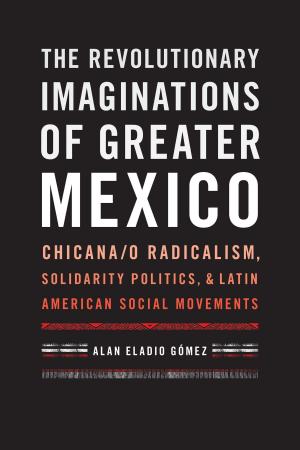 Cover of the book The Revolutionary Imaginations of Greater Mexico by Terry Rugeley
