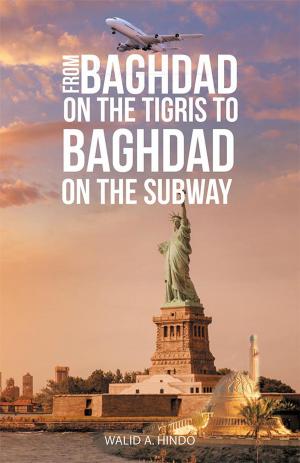 Book cover of From Baghdad on the Tigris to Baghdad on the Subway