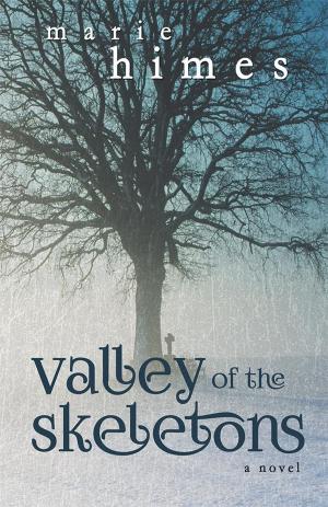 Book cover of Valley of the Skeletons