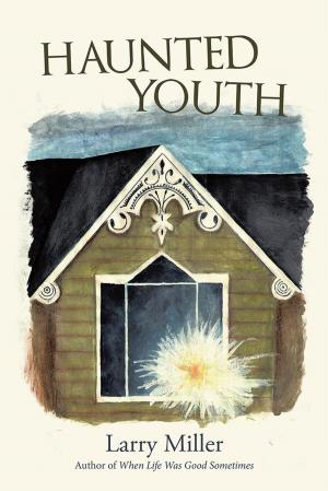 Cover of the book Haunted Youth by Mark Barber