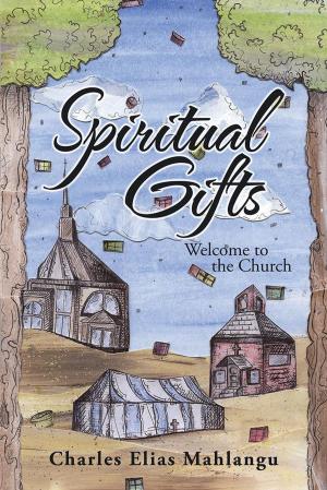 Cover of the book Spiritual Gifts by David Udo