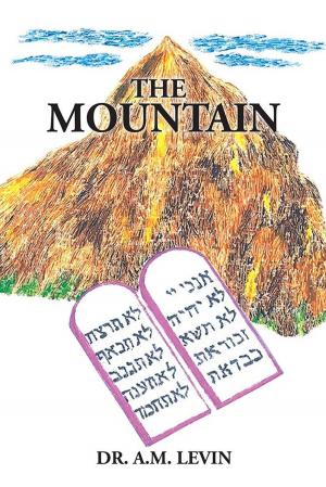 Cover of the book The Mountain by Eric Nwachukwu